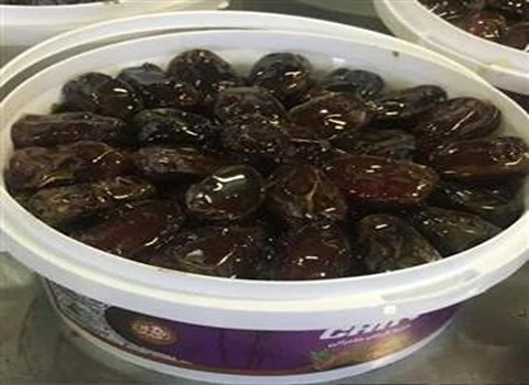 تصویر 2 از خرما کبکاب صادراتی ممتاز از نخلستان بوشهر